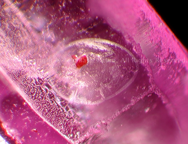 Inclusions in Sri Lankan ruby